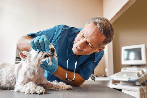 Best Weekend Emergency Dentist in Menonee, MI